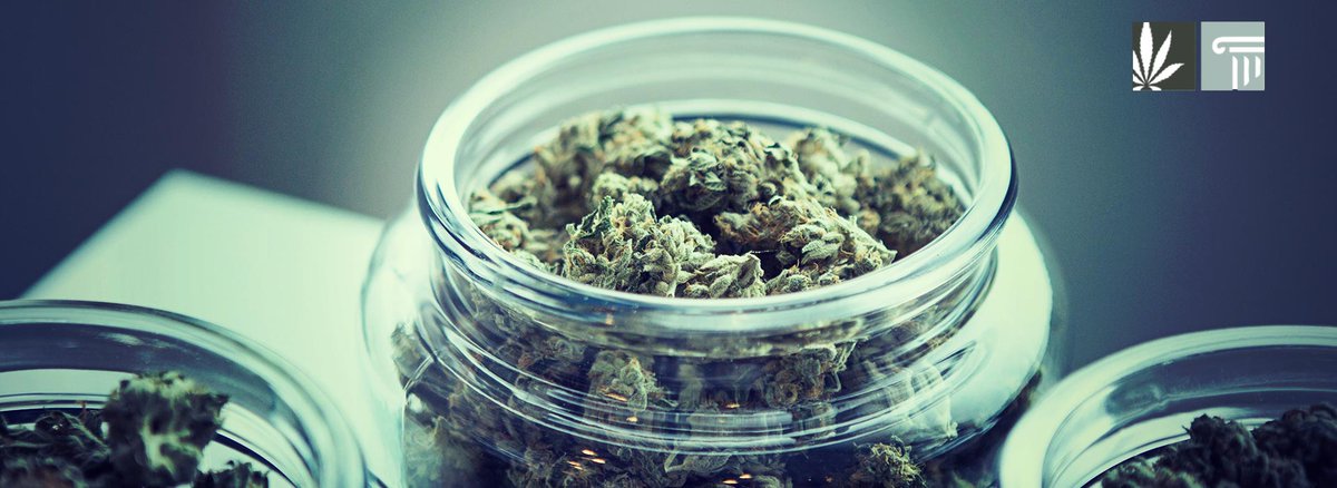 In New York, 903 individuals affected by cannabis criminalization submit licensing applications to open a recreational marijuana dispensary.

zpr.io/N9CMkkCnQbDd