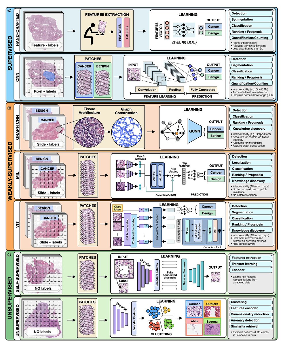 Eric Topol tweet media