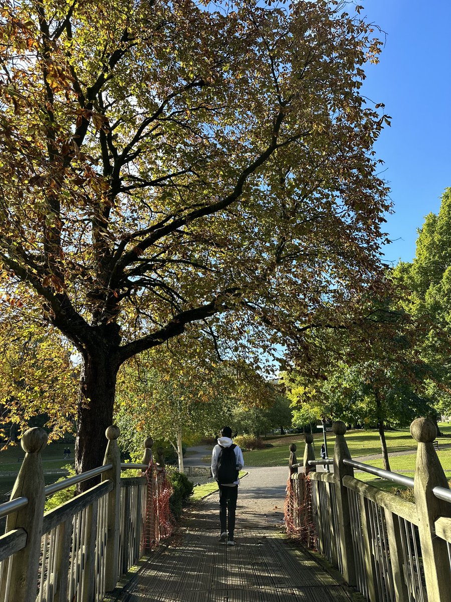 hamizathazmie's tweet photo. 📍Weston Park, Sheffield https://t.co/UFfBE2DdKt