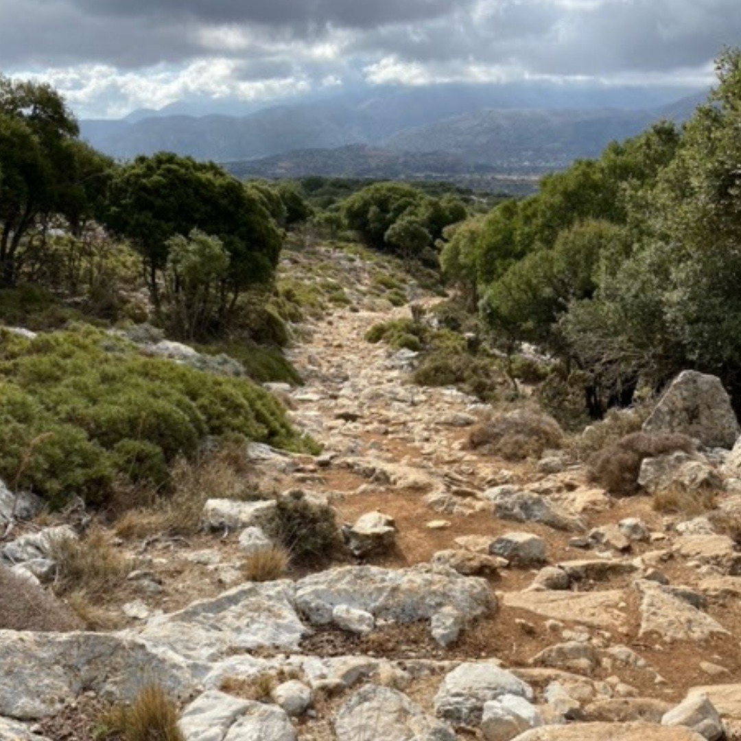 involvedholiday's tweet photo. Check out the last few entries to the our holiday photograph competition. Some great compositions! Which is your favourite? 

We will be announcing the Autumn Winner shortly. 

#Involvedholidays #photocompetition #walkingholiday #groupholiday #getinvolved https://t.co/euJ3vDwwLM