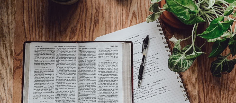 Meet the Puritans tweet media