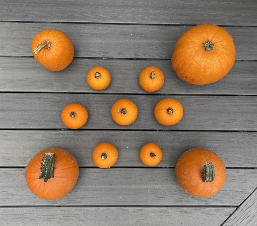 How Many? How did you count? 
#unitchat