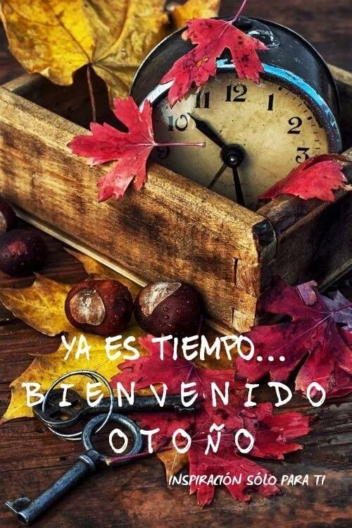 ClaudiaTimal's tweet photo. https://t.co/lVxcl2cQu7