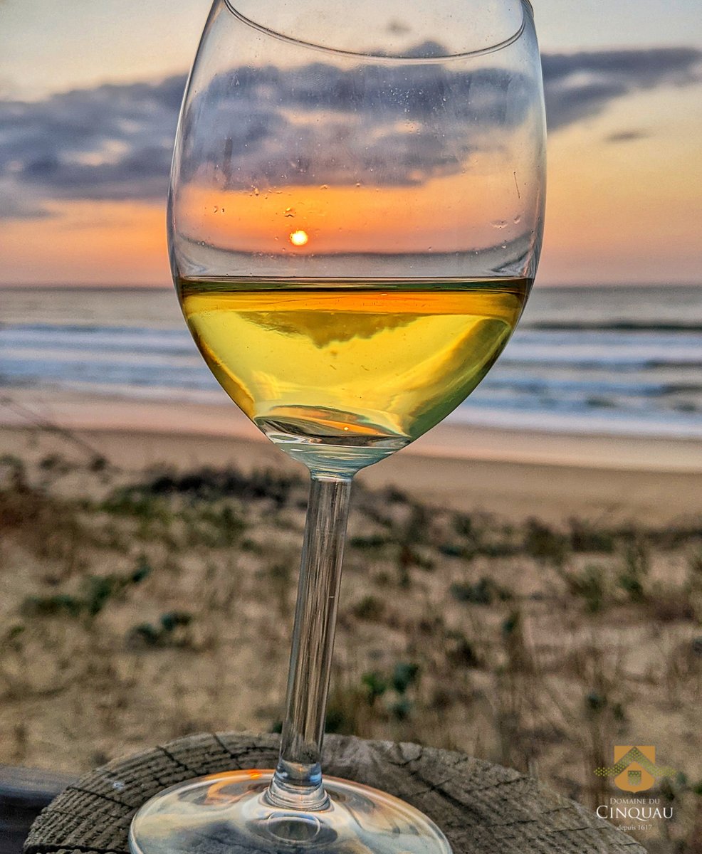 cinquau's tweet photo. Quand Jurançon et horizon ne font plus qu’un.
L’astre du jour s’offre un grand plongeon … Sensations !
Messanges, plage des Landes, été indien,
Ces reflets dorés … je cède à la tentation !
🥂
☀️
Jurançon Sec Sensations - samedi 8 octobre 2022

#cinquau #messanges #juranconsec https://t.co/6RL5YTPCJj