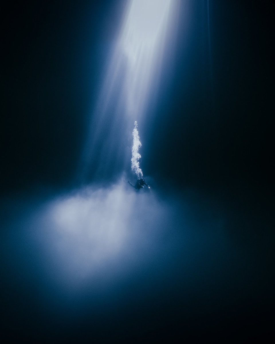 Nadine Bauer tweet media