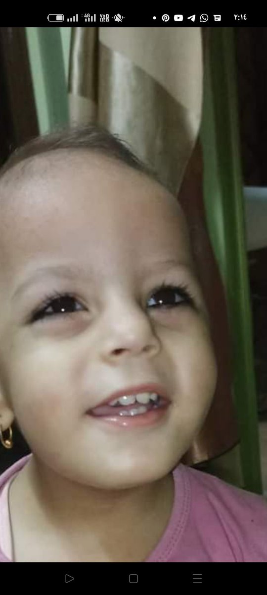 الصعيد وبساطته tweet media