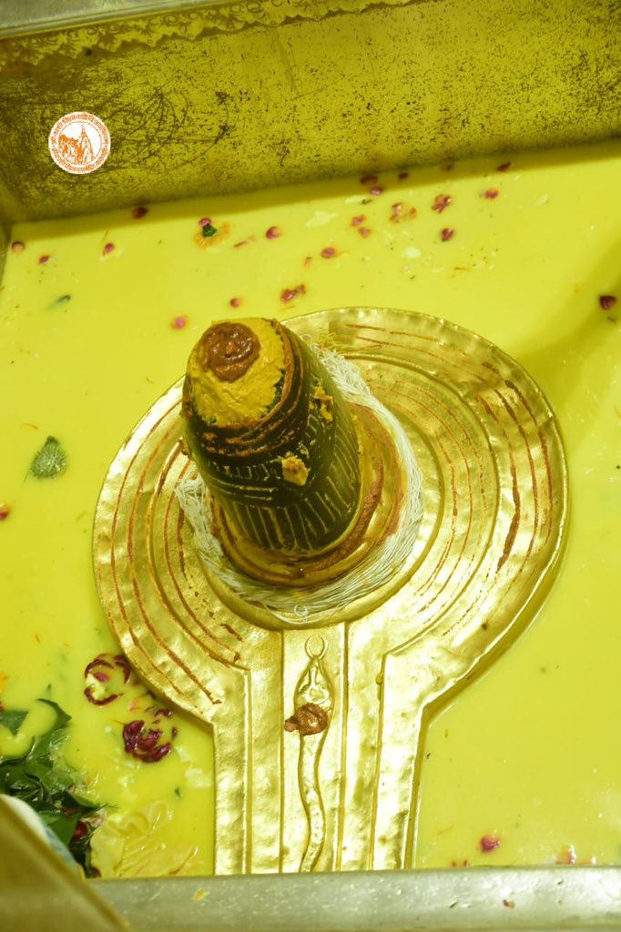 ShriVishwanath's tweet photo. आज दिनाँक 10-10-2022 को श्री काशी विश्वनाथ मंदिर के सप्तऋषि आरती के दर्शन।

#Blessings  #SandhyaAarti #SaptrishiAarti #Varanasi #Aarti #Kashi #Jyotirlinga #VishwanathDham https://t.co/LrX7F4ewWp