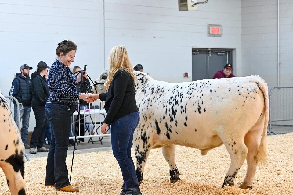 GraysonBerting's tweet photo. What an amazing experience judging the Speckle Park, Highlands, Pair of Bulls, Jackpot show, and the Supreme Male and Female Expo Boeuf in Victoriaville, Qb! 

It was an honour to judge the Supreme along side Dawn and Lee Wilson, Kyle Louis, and Jill and Cole Harvie. 
#Cattle #Ag https://t.co/Uu6Ev0eipC