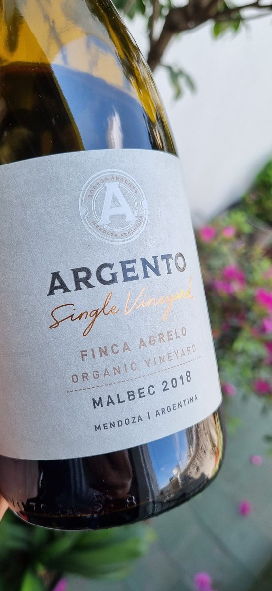 Francisco Rivero Segura tweet media