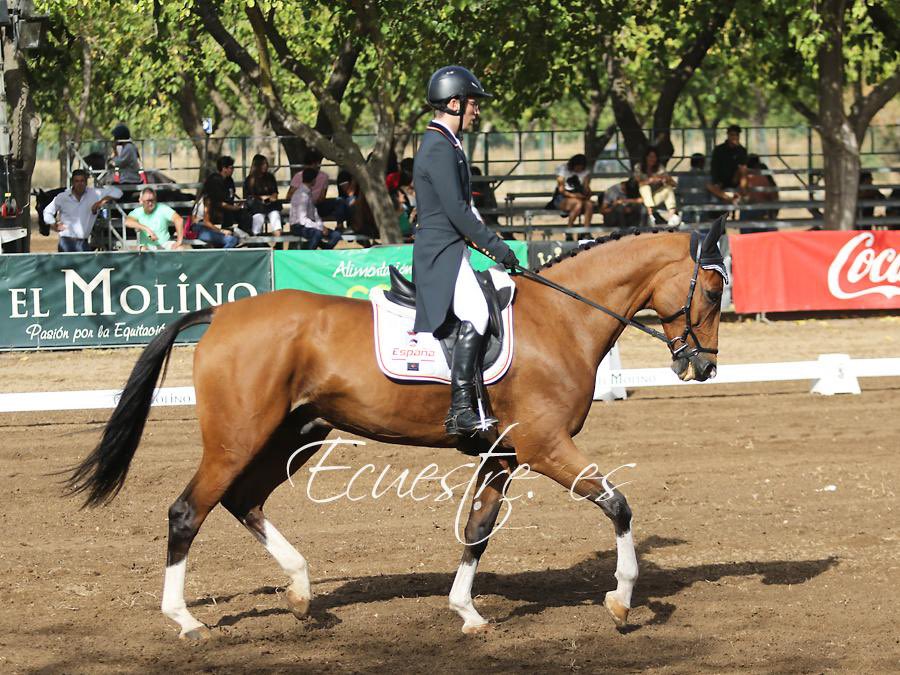 MPiroPodium's tweet photo. ¡Fin de semana exitoso en el Internacional Gran Semana Anglo Árabe de Sevilla!

Segunda y tercera posición en las pruebas Internacionales de mayor nivel CCI2*S y CCI3*S🥈🥉

Muy contento con los resultados🔝

Agradecido con todo mi equipo👌🏻

@becaspodium https://t.co/HqHpMldJWz