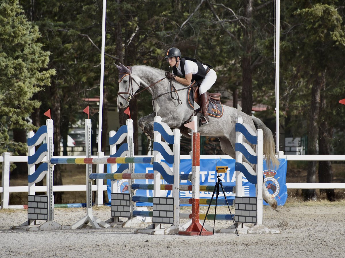 ¡Fin de semana exitoso en el Internacional Gran Semana Anglo Árabe de Sevilla!

Segunda y tercera posición en las pruebas Internacionales de mayor nivel CCI2*S y CCI3*S🥈🥉

Muy contento con los resultados🔝

Agradecido con todo mi equipo👌🏻

<a href="/becaspodium/">Becas Podium</a>