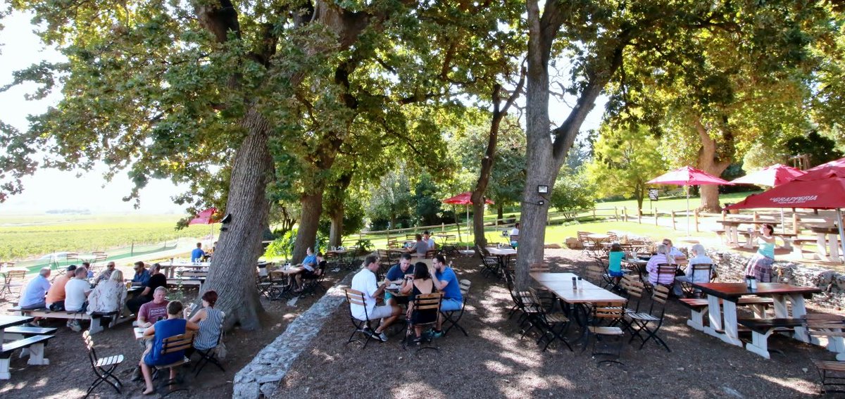 Herman Lintvelt tweet media