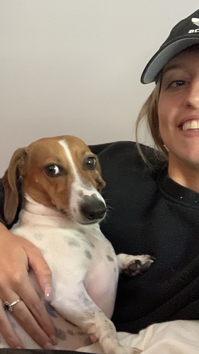 Scarlet the Doxie has not seen her "sister" for over three months and won't let her alone. Ha ha