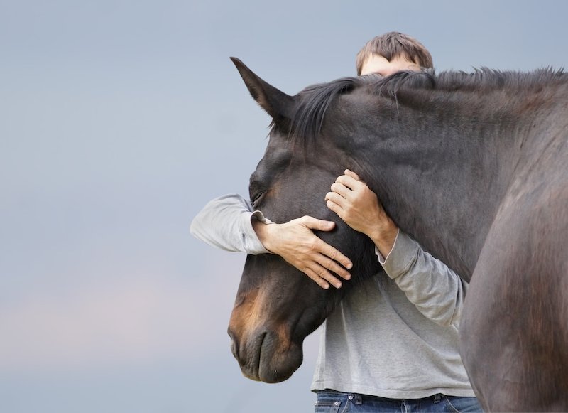 Horse Monkey tweet media
