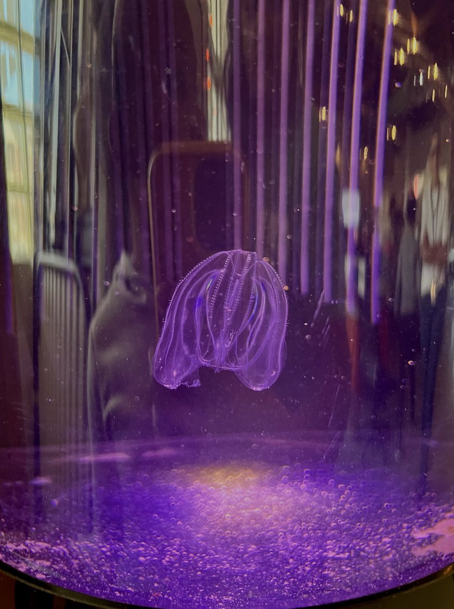 SLC CURB tweet media