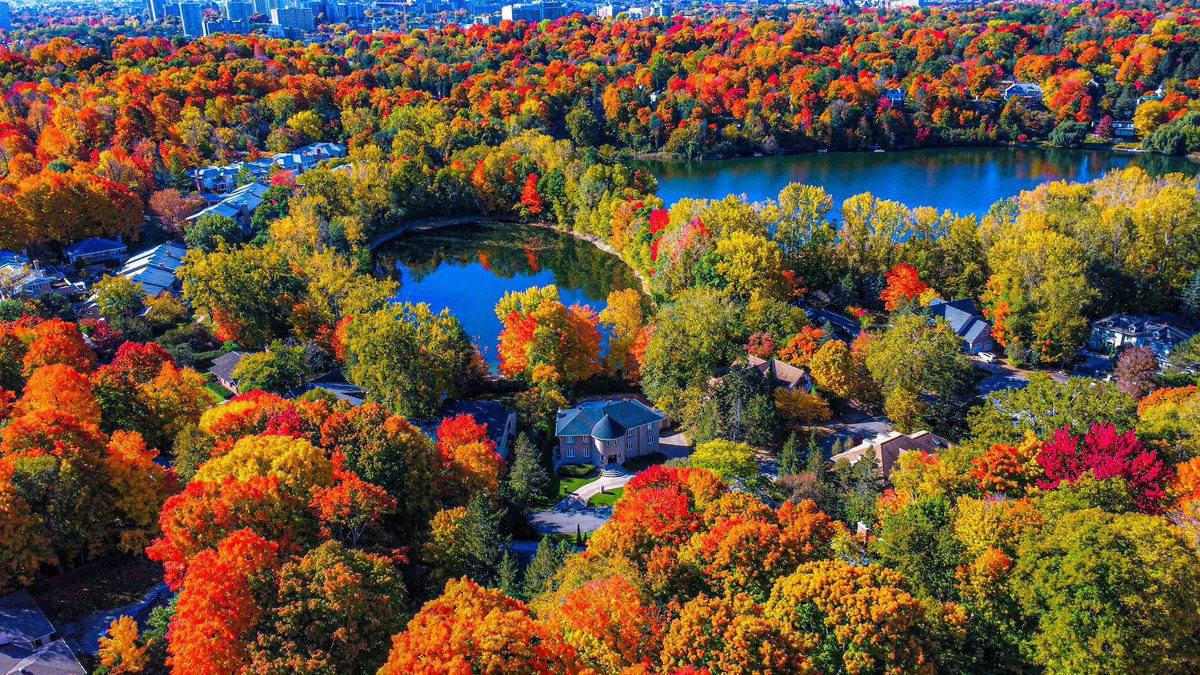Maz_Ob's tweet photo. Rockcliffe Park, a small piece of paradise within the walls of the busy city.

#ottawa #drone #ottcity https://t.co/qGBGUJwOeu
