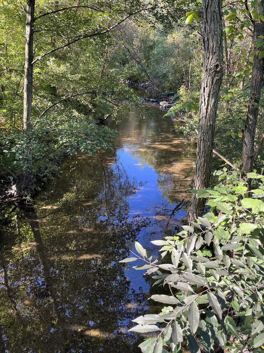 sobarow's tweet photo. Incredible learning space at Berks Nature! @Berksnature @AlbrightSRI @BASDNEWS @BASDOfficeofTL https://t.co/O5lR9FreTs