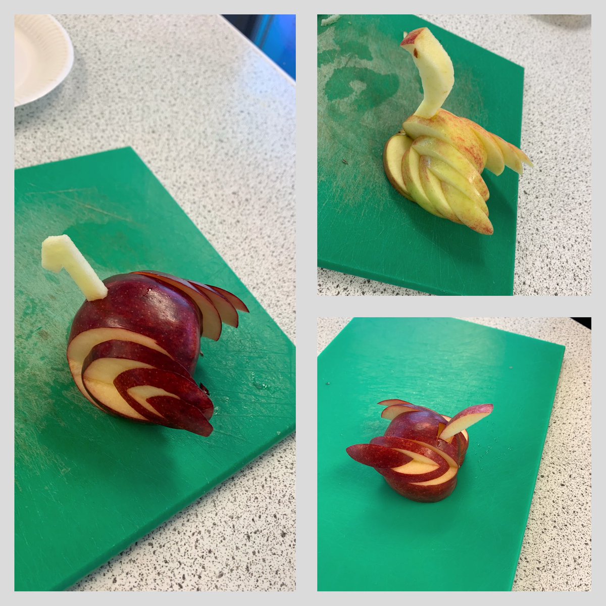 This week S3 have been learning about enzymic browning in their food science unit! As well as, practicing their knife skills in creating an apple swan 🍎🦢Safe to say they all thoroughly enjoyed it!🤩 <a href="/MGS_FFC/">MGS Food, Fabric and Care Department</a>