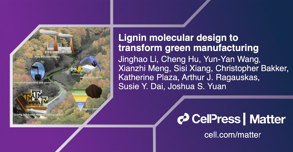 Matter_CP's tweet photo. Joshua S. Yuan &amp; colleagues @TAMU @UTKnoxville @WUSTL design a modified #lignin with improved mechanical properties of recyclable #polymer blends

Featured in #MatterIssue40: https://t.co/DUdaG2XaIY https://t.co/f3J0A0wIlQ
