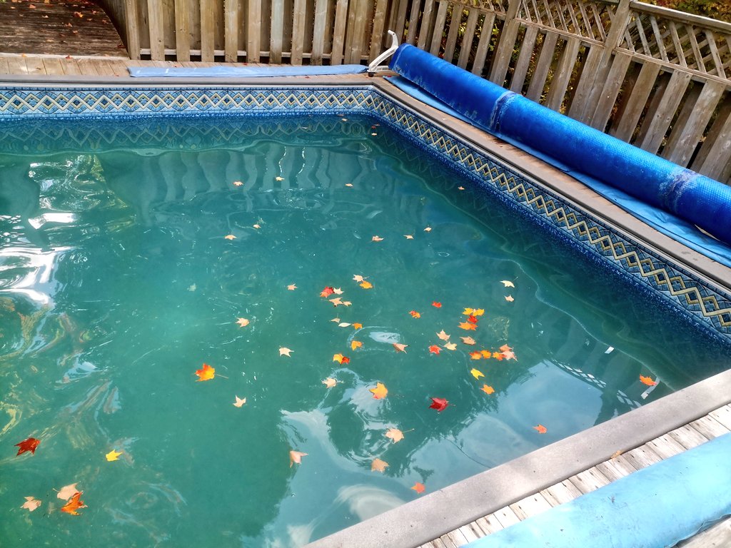 rjasonthompson's tweet photo. Guess it's #poolclosing time 😉 

#HappyThanksgiving weekend @Canada https://t.co/WQgVRPhdqE