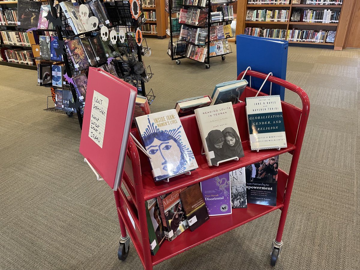 Last week, the Middle Eastern Affinity Group hosted a panel about the Iranian Crisis. They invited Dr. Mobasher and Dr. Mireshghi to speak about the history of the protests and the impact the protests are having on Iranians all around the world.