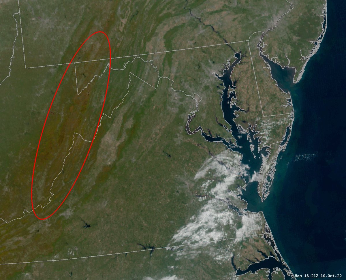 NWS_BaltWash's tweet photo. It's definitely starting to feel like fall. Just ask the trees! Leaves are changing in the Appalachian Mountains, and you can even see it from satellite. 🍁 #FallColors https://t.co/HyyZTYpr2F
