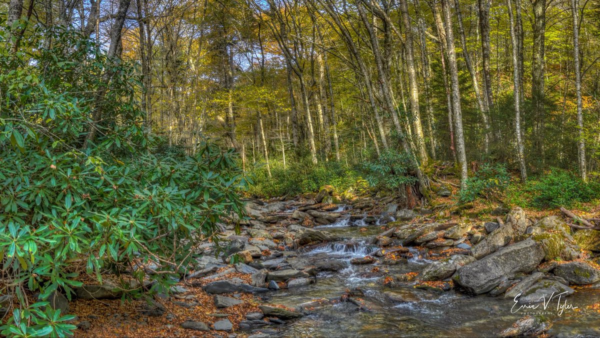 Great Smoky Mountains National Park, Alum Cave Trail
