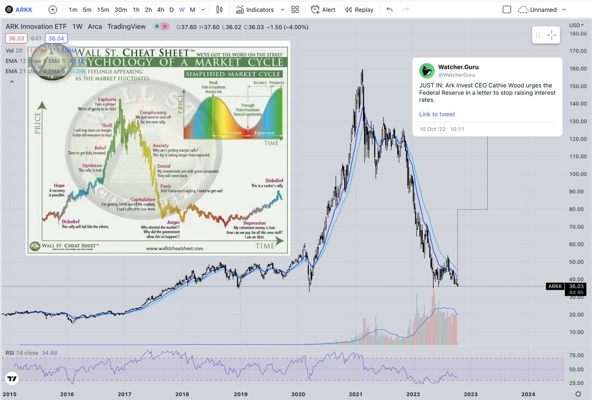 blovescrypto89's tweet photo. Cathie Wood: Why did the government allow this to happen? $ARKK $BTC #bubble #anger #crypto #stocks https://t.co/N1Qs4FV3uX