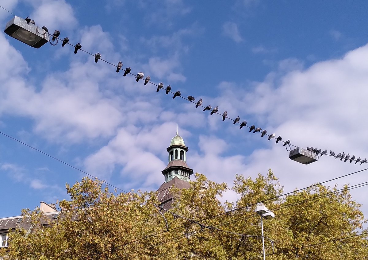 Nein, für einmal keine tibetische Gebetsfahnen
#Oktobertag #Zürich