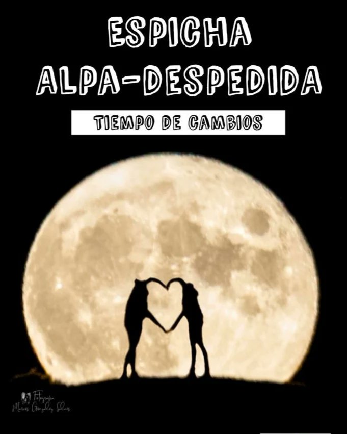 ÉPOCA DE CAMBIOS: Vamos a despedirnos de ALPA como se merece: en compañía y con sidra.
Toda la info en nuestra web: logopedasasturias.es
GRACIAS A TOD@S LOS ASOCIAD@S Y A TODAS LAS JUNTAS DIRECTIVAS POR LUCHAR TODOS ESTOS AÑOS POR DEFENDER LA FIGURA DEL LOGOPEDA EN ASTURIAS ☺️