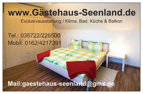 gästehaus-seenland.de