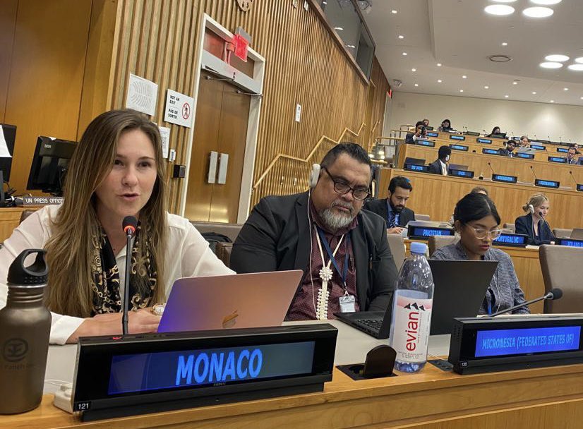 Monaco_ONU's tweet photo. Monaco’s statement on the rights of children at #ThirdCommittee underlined the efforts of @AMADEmondiale in protecting children in armed conflicts and the rights of all children to #civilstatus #UNGA77 https://t.co/ZW8ktgZrYD