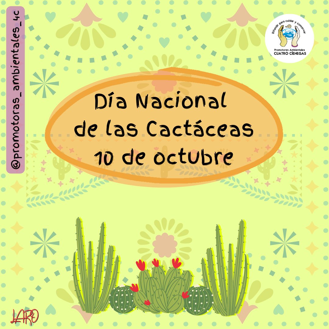 promotoras4c's tweet photo. Hoy celebramos el Día Nacional de las Cactáceas y en nuestra Área Natural Protegida contamos con una gran variedad, los invitamos a cuidarlas y no extraerlas de su hábitat
#difundirparacuidaryconservar #cca4c #pa4c #ConservarParaVivir #apffc #CONANP #cuatrocienegas #cactaceas https://t.co/tus464K9Iu