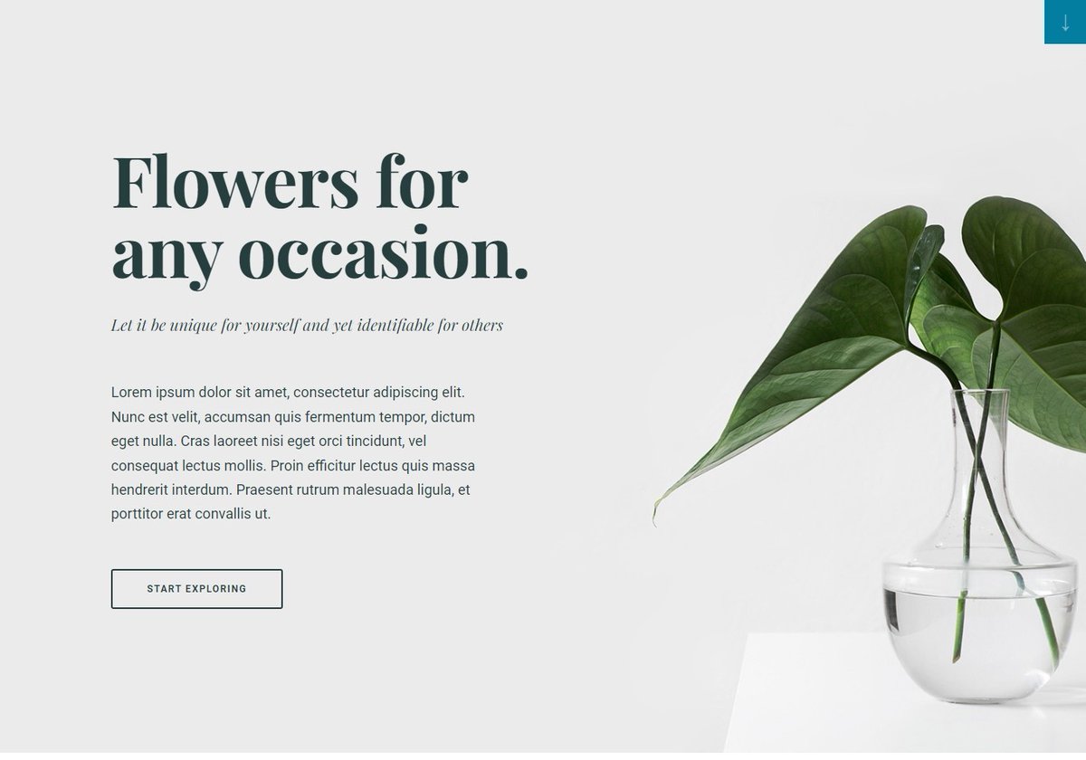 moshiurmoshi1's tweet photo. Flower landing page design made for my US client
Target: Get an Audience
Platform: WordPress
Client's country: new jersey, US
If you need a landing page knock me: https://t.co/5XGaHy8xRs
#landingPage #responsiveLanding #wordpressLanding #salesPage #Landing #wordpress @stephb1 https://t.co/y7x5fNRqPD