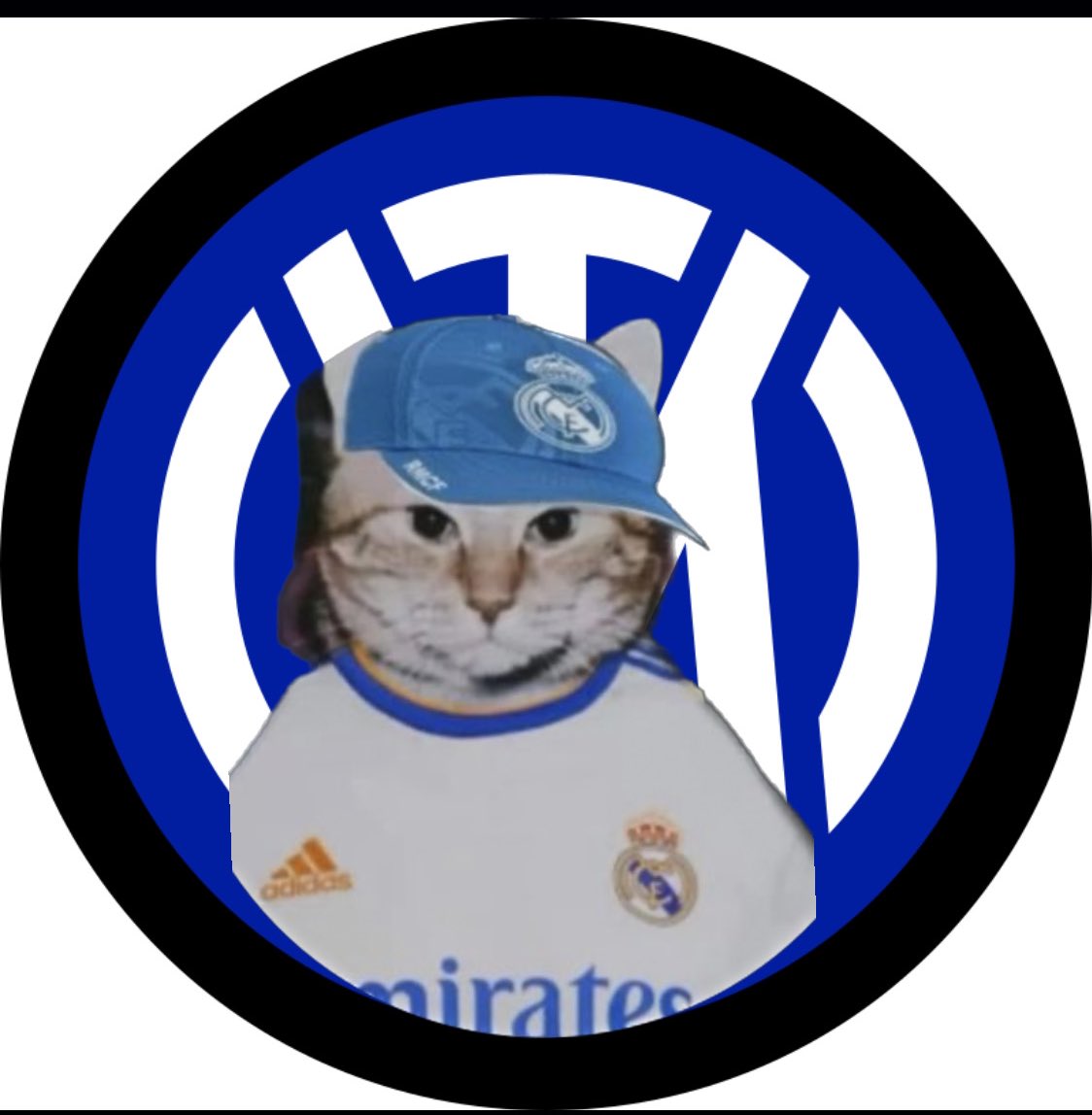 paabloo_csj's tweet photo. No vamos a ser menos 🇮🇹🔵 https://t.co/tssReJhnTu