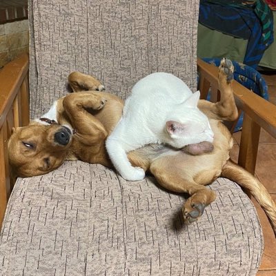 reallifeefil's tweet photo. #NewProfilePic https://t.co/QMFr5eUyvd