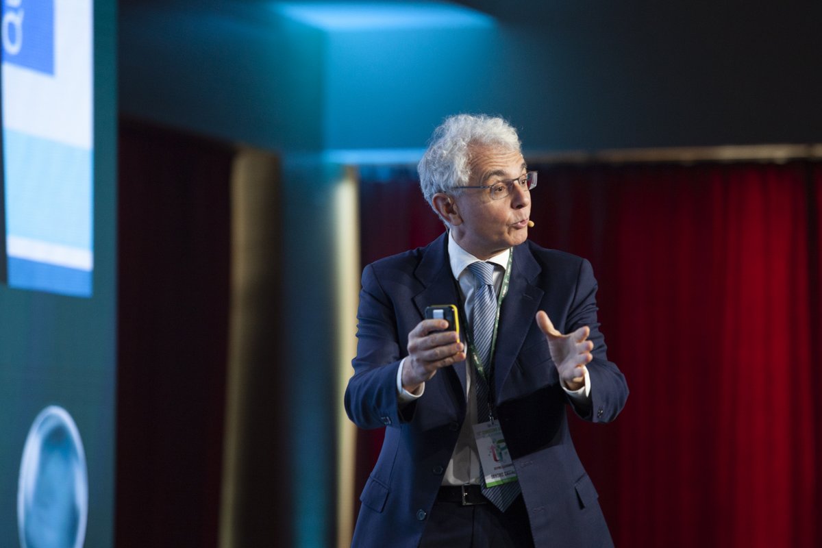 Focus Mgmt tweet media