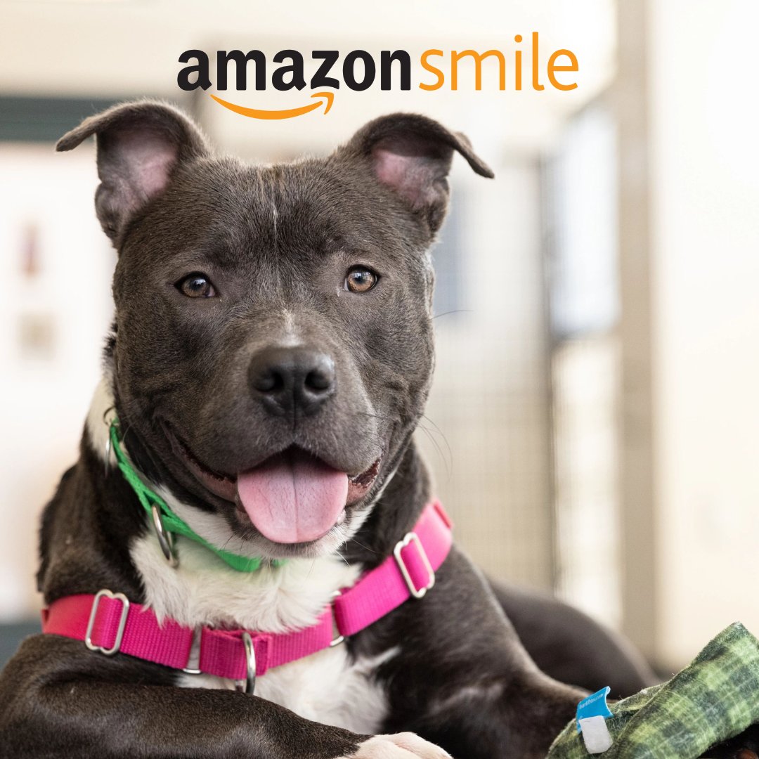 ASPCA's tweet photo. Don’t forget to turn on #AmazonSmile in the Amazon Shopping app and select the ASPCA to support animals in need while you shop! https://t.co/rVDGbdnTPL