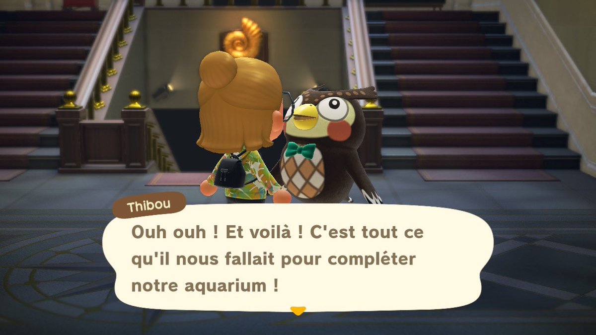 Lucie tweet media