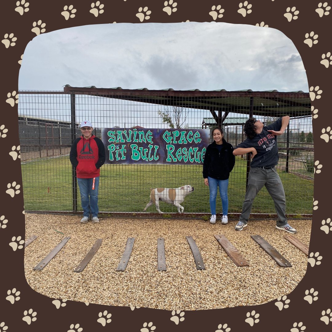 Thanks to everyone who came out to Saving Grace Pit Bull Rescue this Saturday! We look forward to seeing you all next weekend at Literacy Lubbock Book Fair!