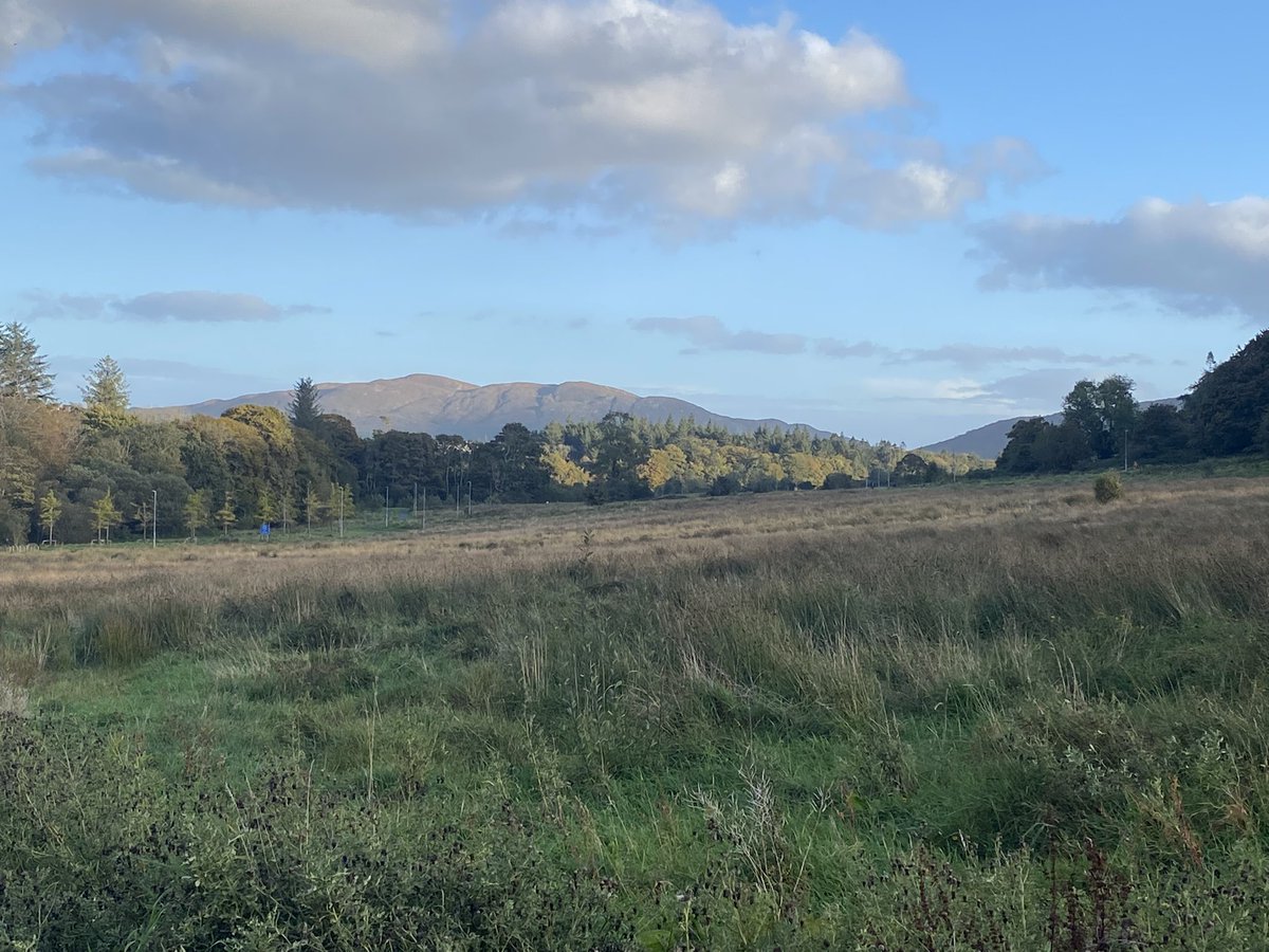 jackiemcguin's tweet photo. What better way to reflect on #WorldMentalHealthDay2022 than go to one of my favourite places on day 1379 of #1400daysofwalking #Cleveragh https://t.co/OOjaBok0nd