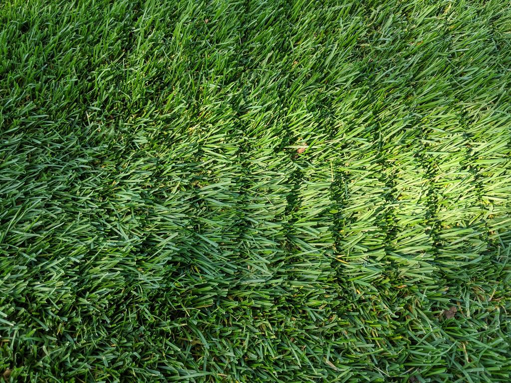 Doug Linde tweet media