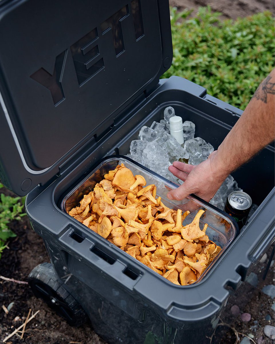 YETICoolers tweet picture