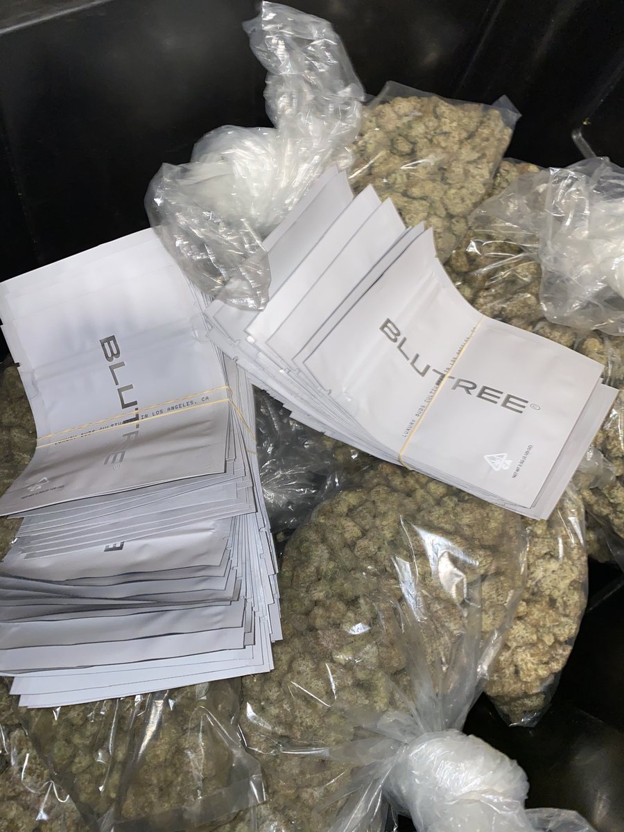 BluTreeOfficial's tweet image. 