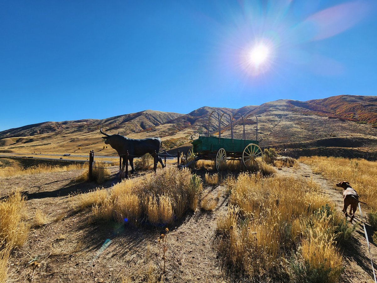 joannas11's tweet photo. #truckerlife #trucking #ILoveJob #EchoCanyon https://t.co/RiF1PRiHfM