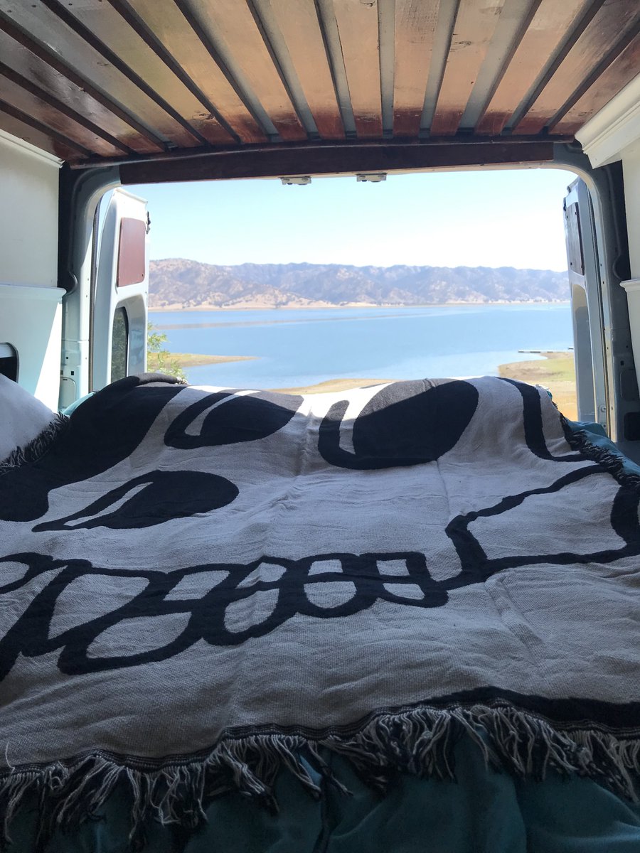 gm <a href="/BoredApeYC/">Bored Ape Yacht Club 🍌</a> #BAYC