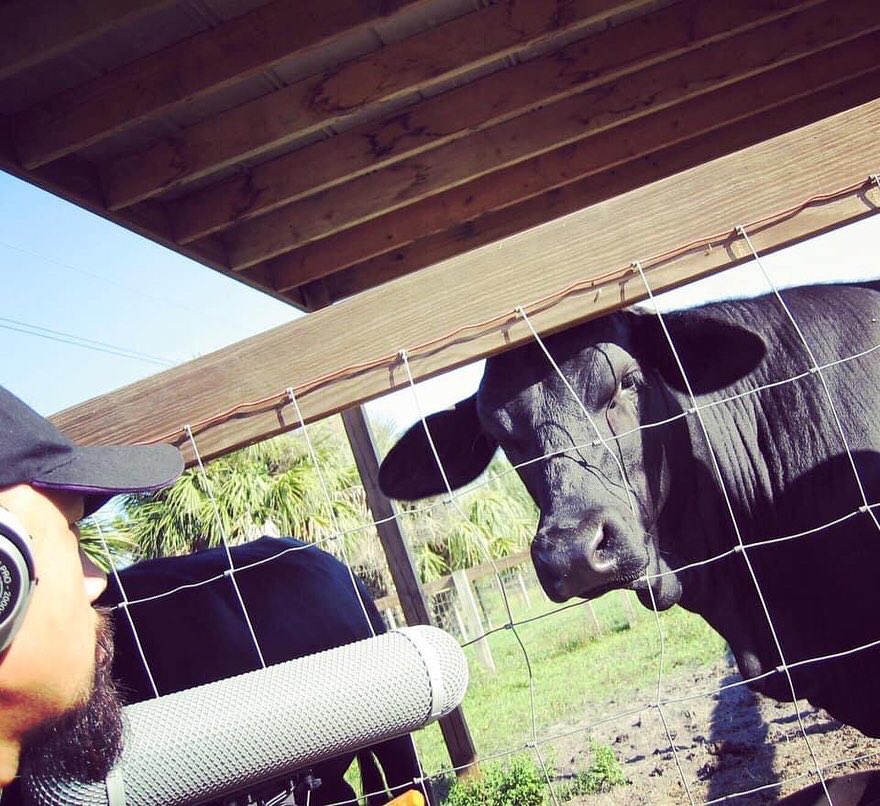 watsonwu's tweet photo. OLD pics of me recording various #animal sounds
#Animals are NOT actors…
.
#soundeffects #watsonwu #sounddesign #microphone #gameaudio #gamesound #audioforgames #filmsound #audiopost #cow #hissingroach #owl #gators #alligator #sarasotajunglegardens #junglegardens https://t.co/YZP63J2hzC