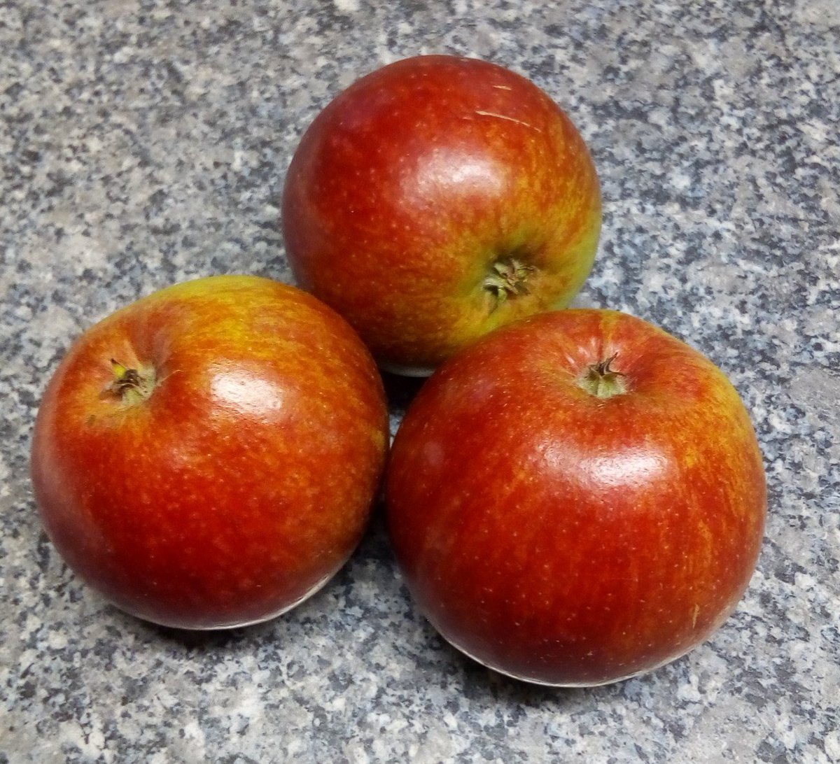 GD3YEO's tweet photo. Yet another 'last cut' on the lawns #keepsgrowing and picked some of the abundant apple crop ! https://t.co/UBqdPM1FN9