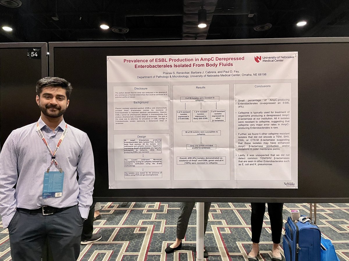 Ana Yuil tweet media