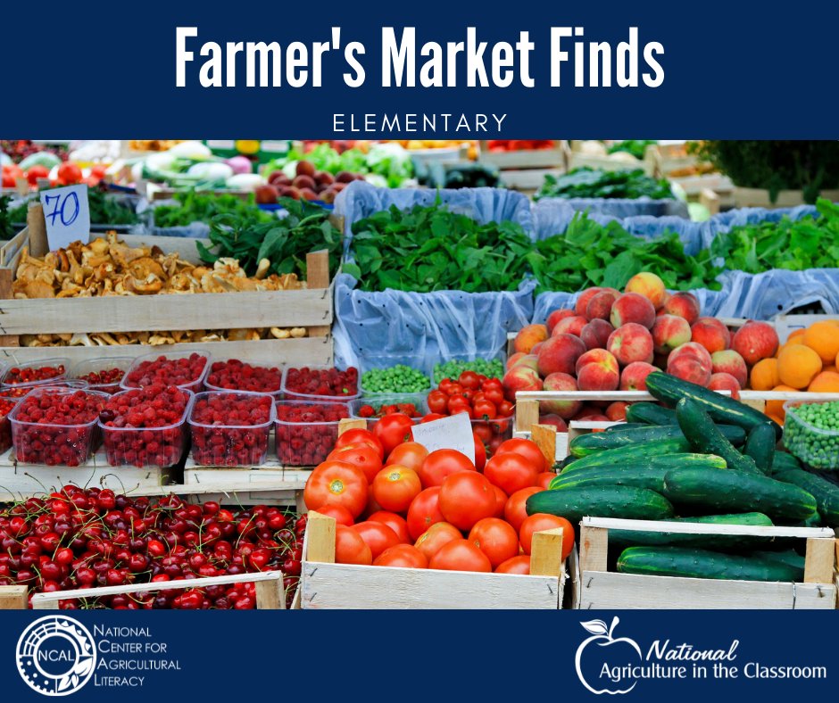Explore the value of farmers market to local communities and explore the benefits of locally-grown foods with this #elementary lesson plan.

agclassroom.org/matrix/lesson/…

#agliteracy #agclassroom #farmersmarket